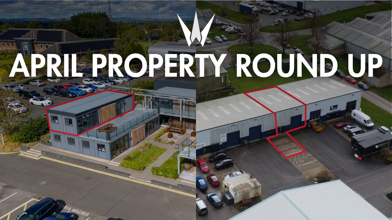 Copy of Realistic Adventurous Travel Youtube Thumbnail for Video